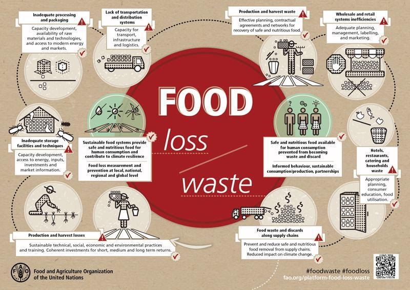 Food Wastage, Prevention blog by chef Sebastian Breitinger